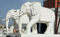 石雕大象適合擺放在哪里？
